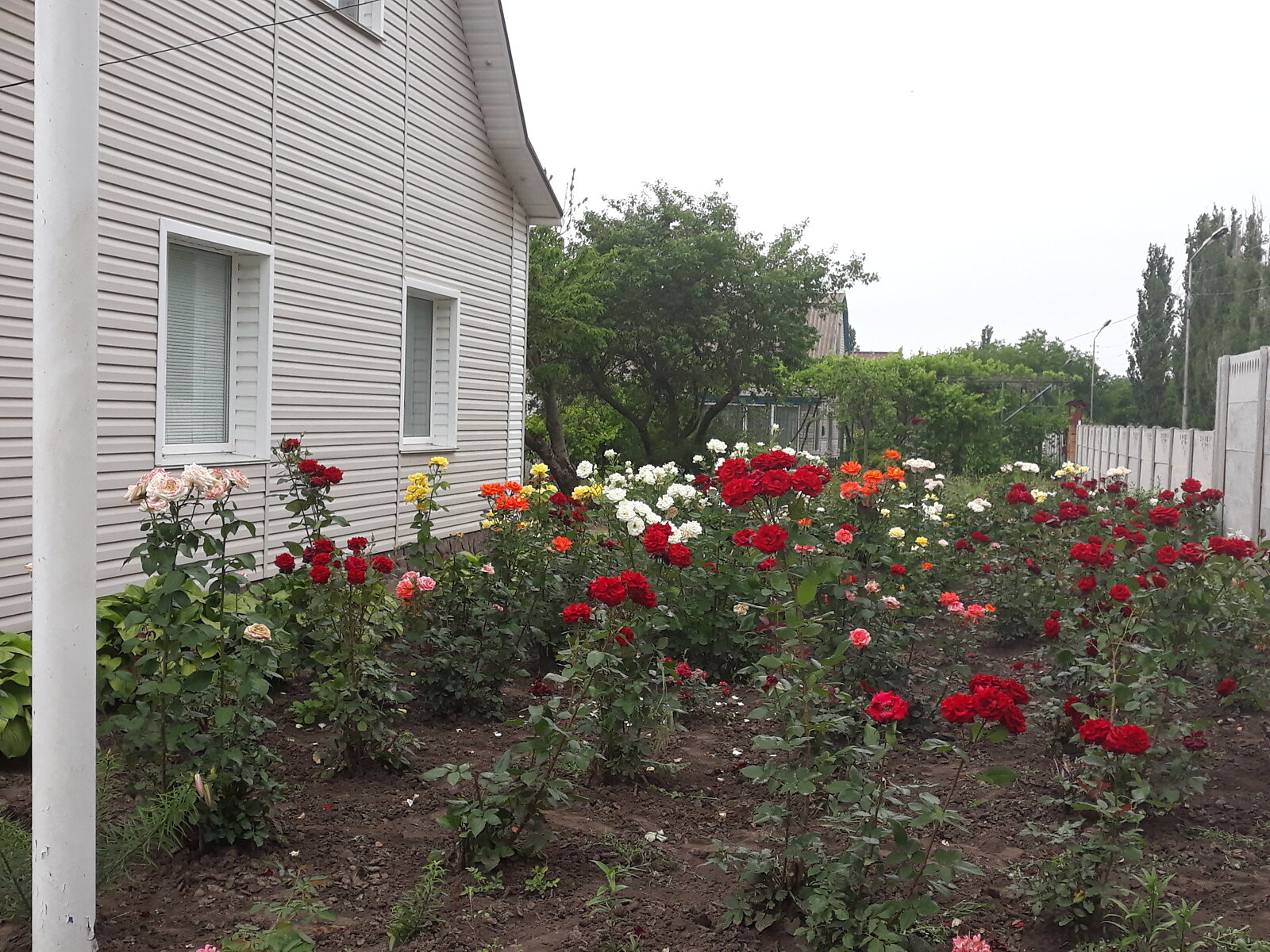 одноэтажный дом с гаражом, 130.9 кв. м, кирпич. Продажа в Степовом фото 1