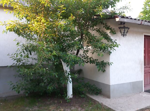 одноповерховий будинок з гаражем, 92 кв. м, цегла. Продаж у Стецьківці фото 1 одноповерховий будинок з гаражем, 92 кв. м, цегла. Продаж у Стецьківці фото 1