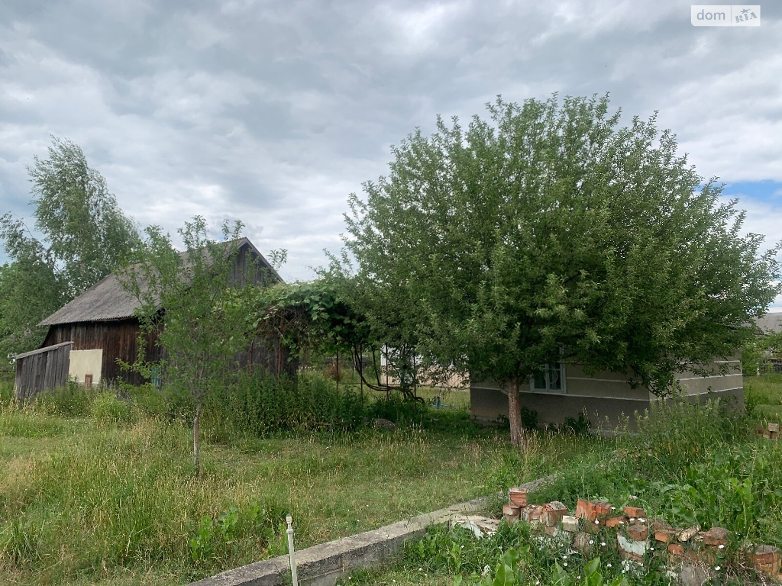 одноповерховий будинок з верандою, 53 кв. м, цегла. Продаж у Панці фото 1 одноповерховий будинок з верандою, 53 кв. м, цегла. Продаж у Панці фото 1