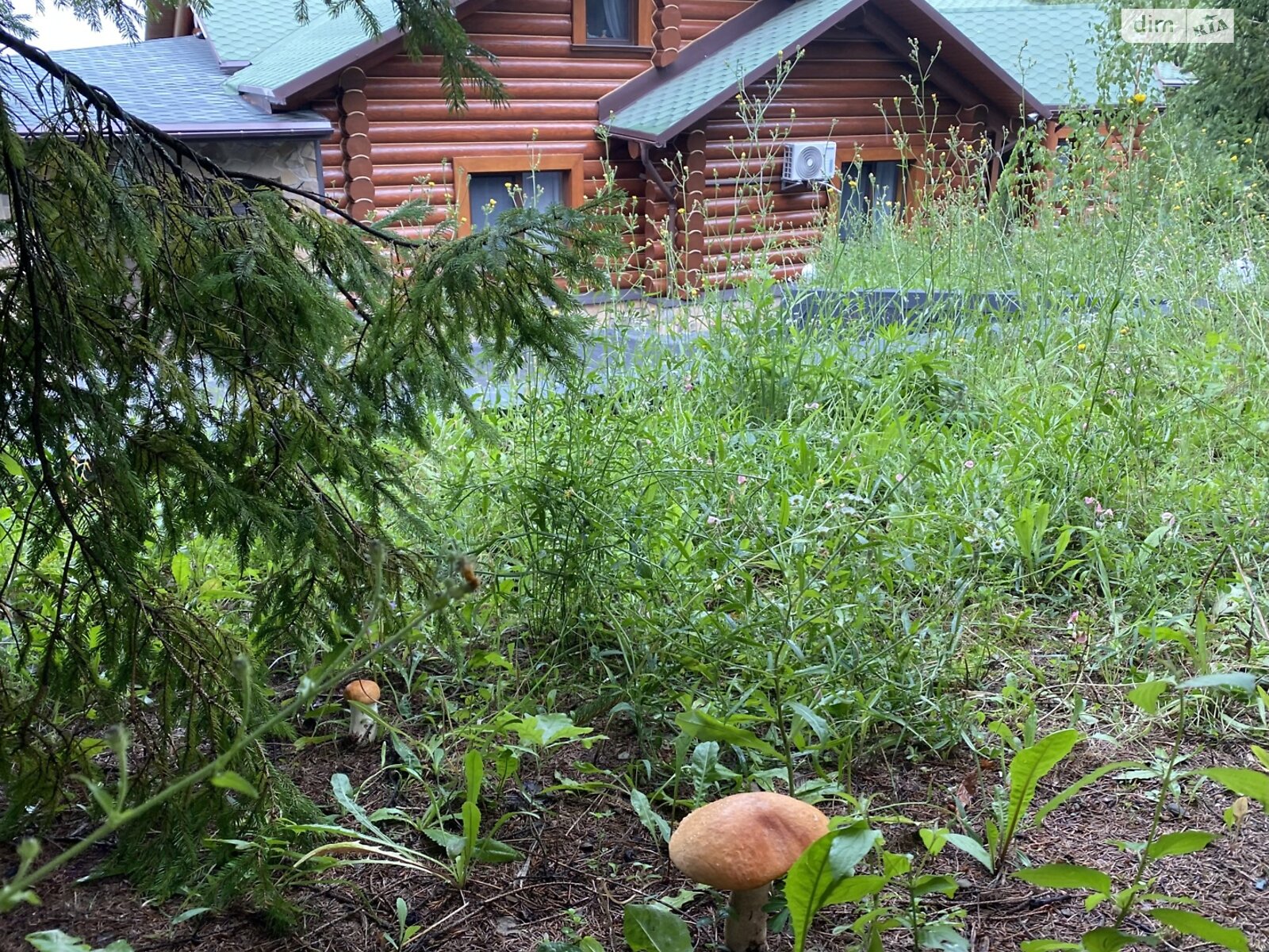 двухэтажный дом с отоплением, 400 кв. м, брус. Продажа в Сторожинце район Сторожинец фото 1 двухэтажный дом с отоплением, 400 кв. м, брус. Продажа в Сторожинце район Сторожинец фото 1