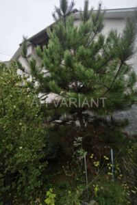 двоповерховий будинок з гаражем, 300 кв. м, цегла. Продаж у Сторожниці фото 2