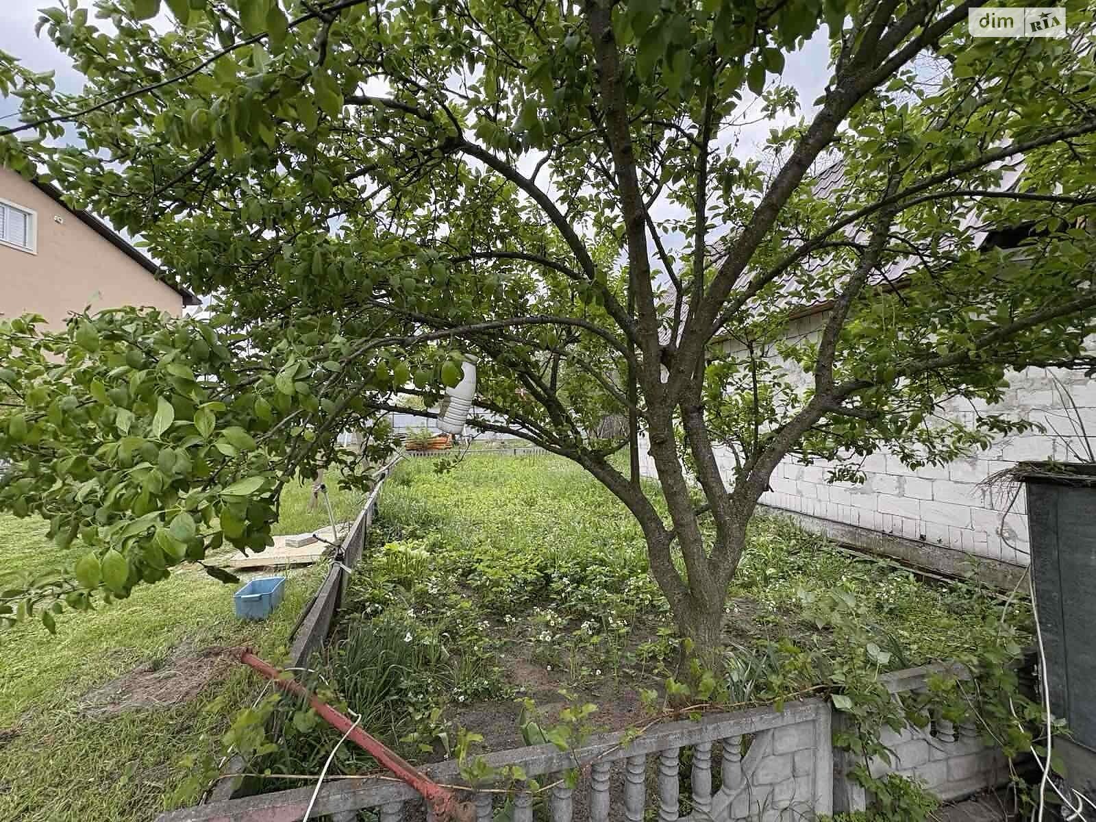 двоповерховий будинок, 115.3 кв. м, цегла. Продаж в Стоянці, район Святошин фото 1 двоповерховий будинок, 115.3 кв. м, цегла. Продаж в Стоянці, район Святошин фото 1