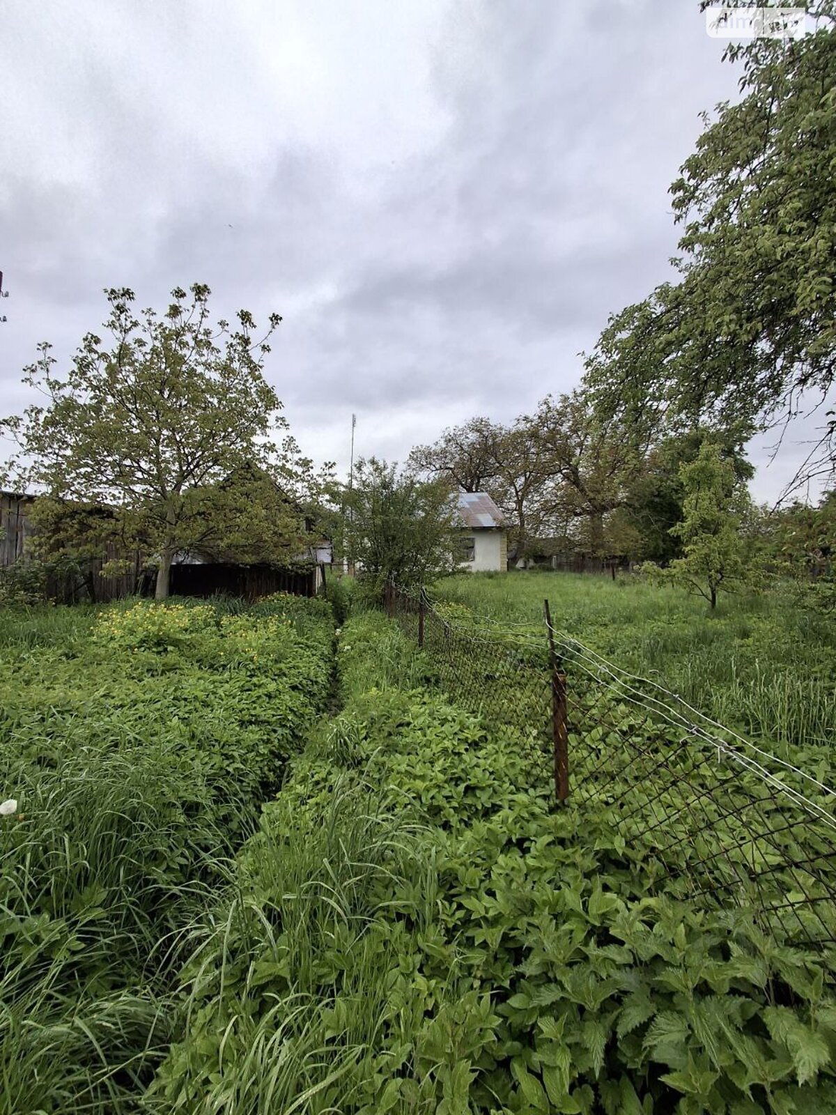 одноповерховий будинок з верандою, 65.6 кв. м, цегла. Продаж у Страдчі фото 1