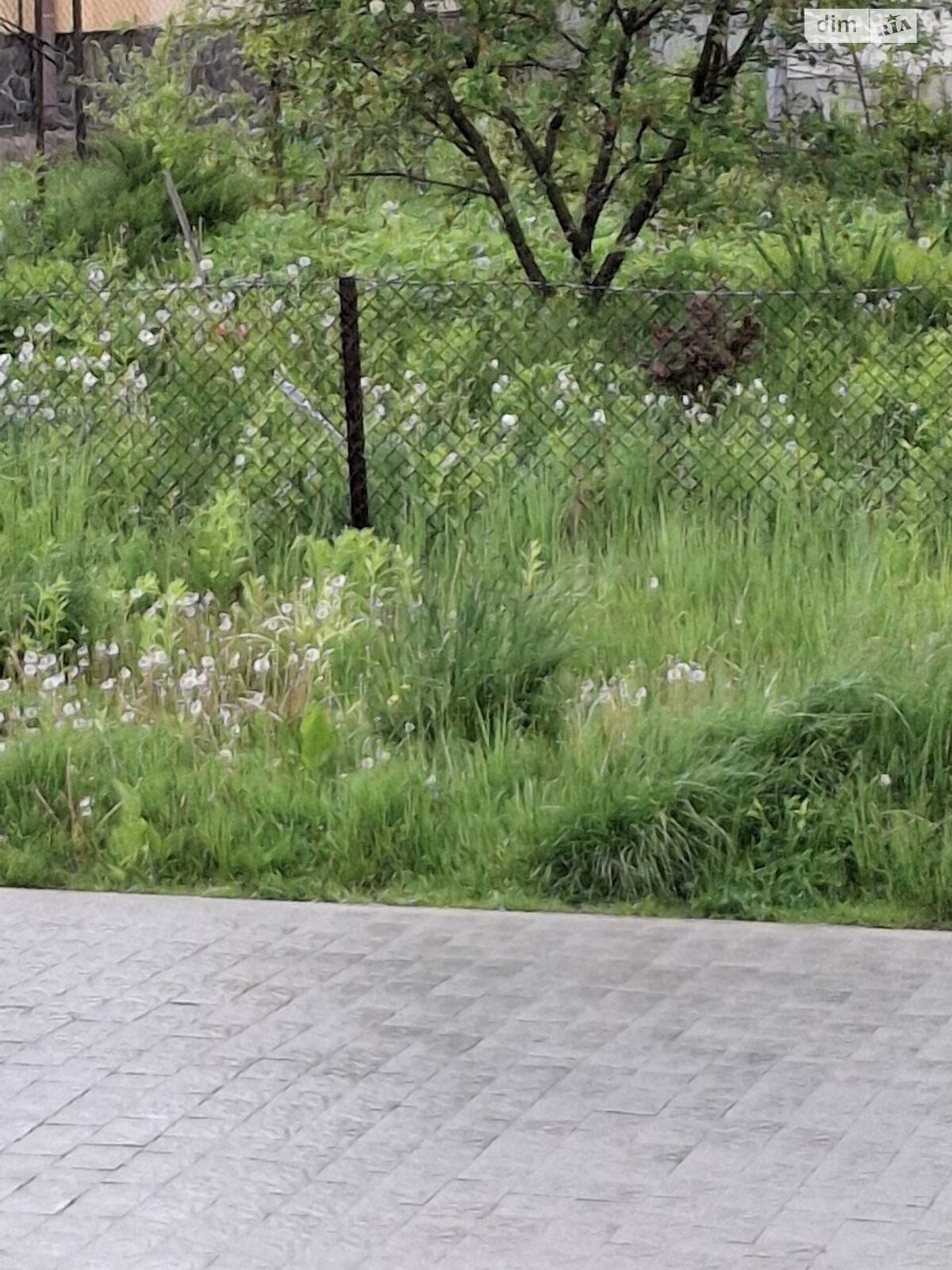 одноповерховий будинок з верандою, 65.6 кв. м, цегла. Продаж у Страдчі фото 1