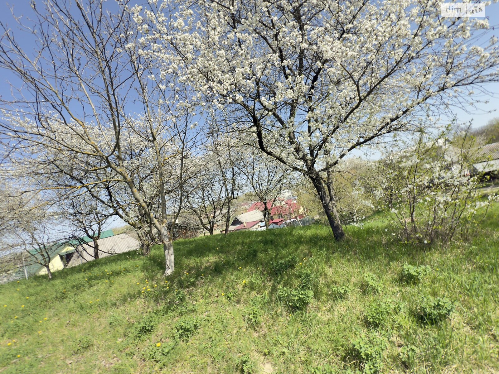 одноэтажный дом, 20 кв. м, кирпич. Продажа в Стрелецьком Куте фото 1 одноэтажный дом, 20 кв. м, кирпич. Продажа в Стрелецьком Куте фото 1