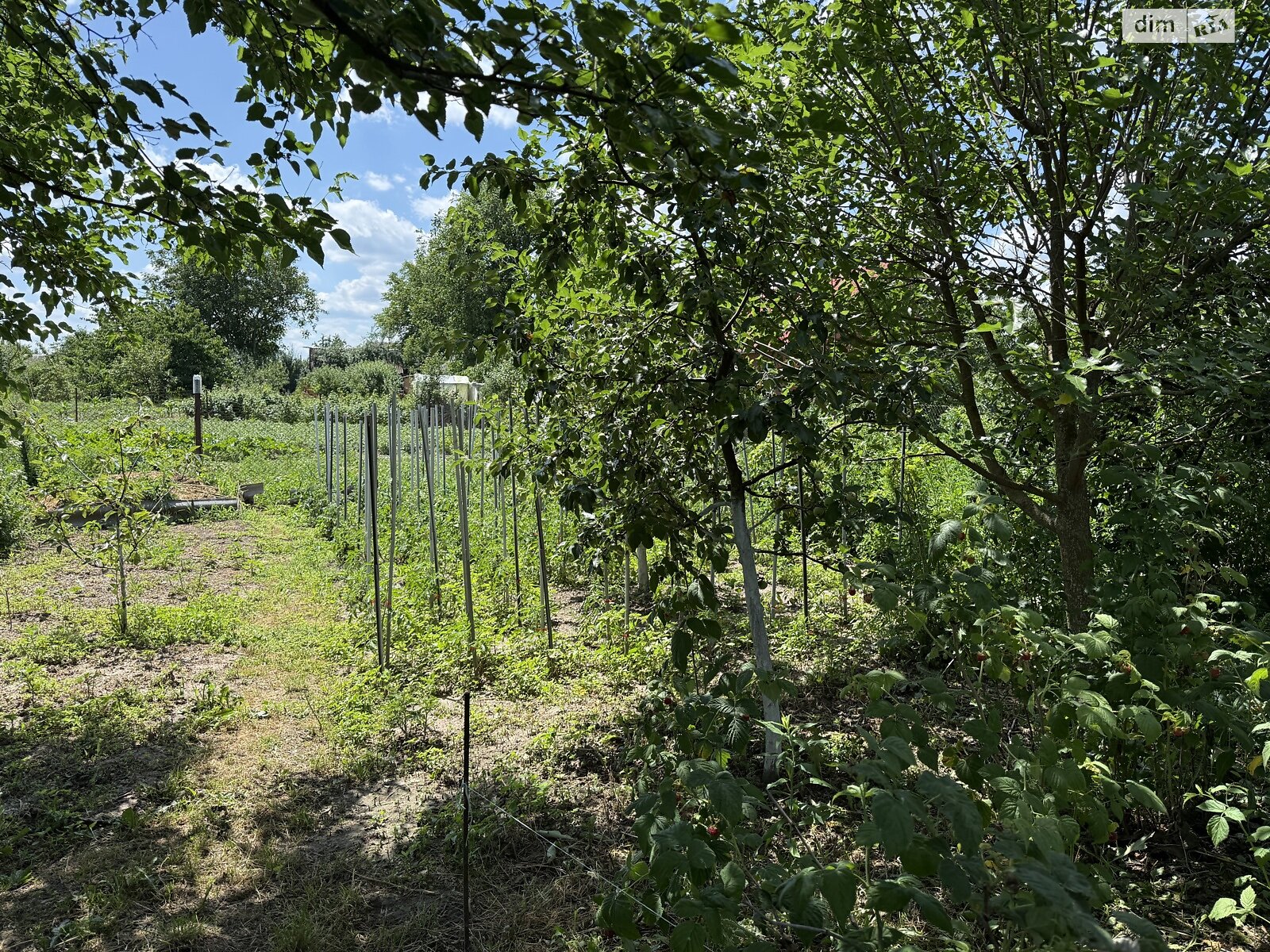 одноповерховий будинок, 92 кв. м, цегла. Продаж у Стрижавці фото 1 одноповерховий будинок, 92 кв. м, цегла. Продаж у Стрижавці фото 1