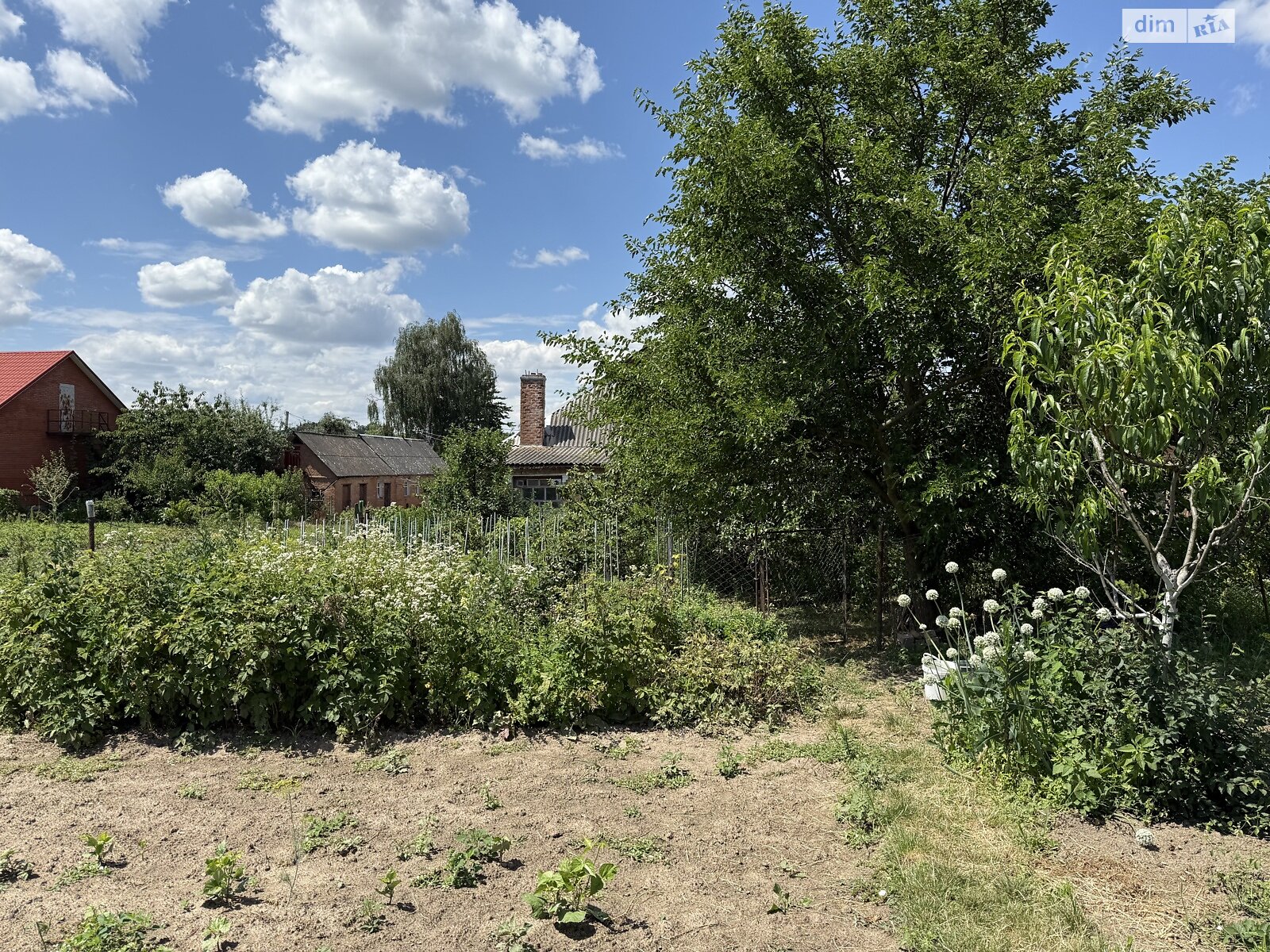одноповерховий будинок, 92 кв. м, цегла. Продаж у Стрижавці фото 1 одноповерховий будинок, 92 кв. м, цегла. Продаж у Стрижавці фото 1