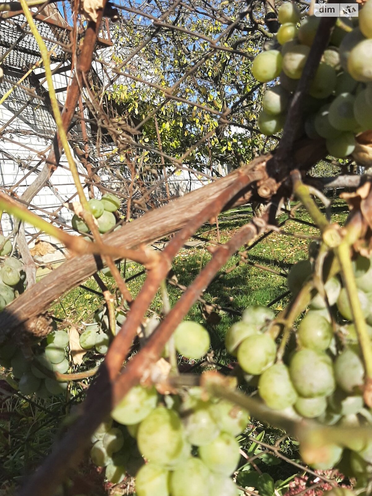 одноэтажный дом, 101.5 кв. м, кирпич. Продажа в Стрижавке фото 1 одноэтажный дом, 101.5 кв. м, кирпич. Продажа в Стрижавке фото 1