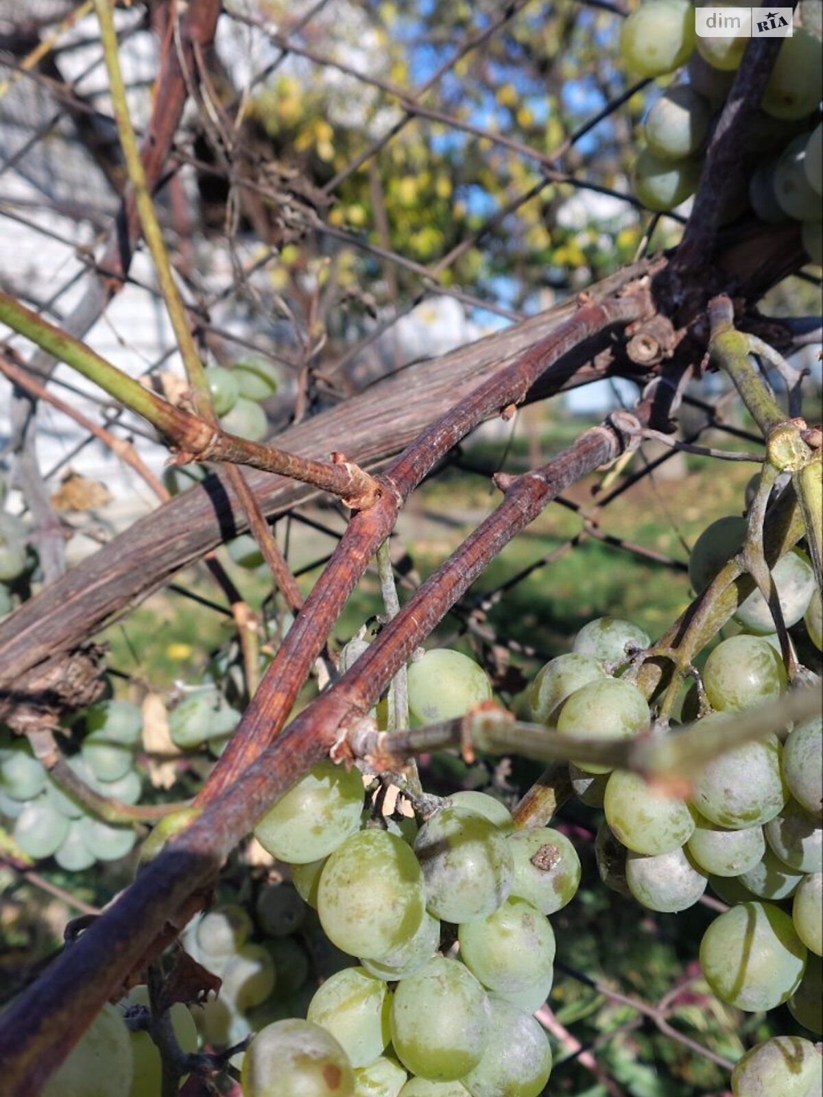 одноэтажный дом, 101.5 кв. м, кирпич. Продажа в Стрижавке фото 1 одноэтажный дом, 101.5 кв. м, кирпич. Продажа в Стрижавке фото 1