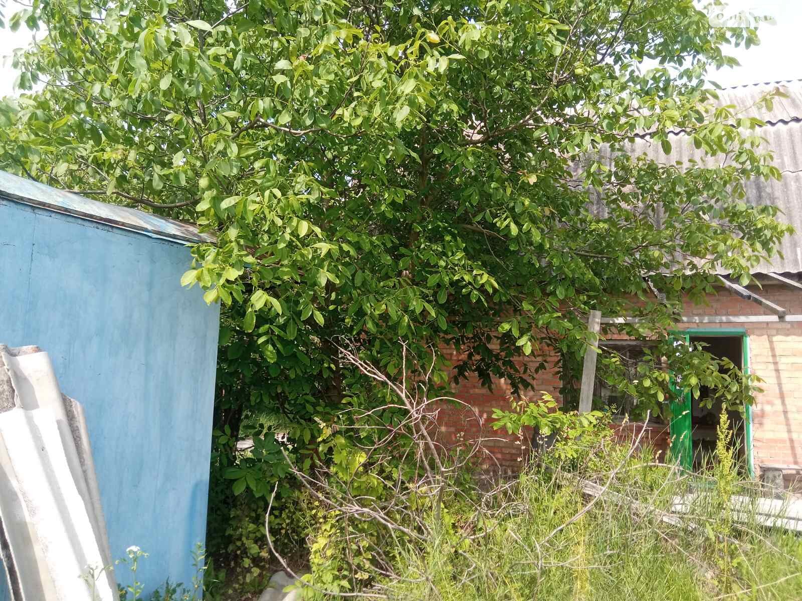 одноповерховий будинок з мансардою, 55 кв. м, цегла. Продаж у Стрижавці фото 1 одноповерховий будинок з мансардою, 55 кв. м, цегла. Продаж у Стрижавці фото 1