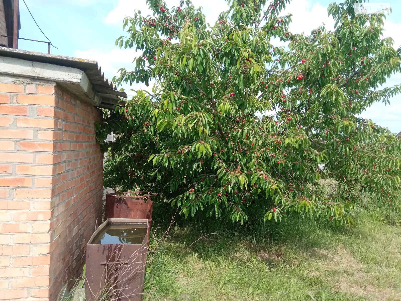 одноповерховий будинок з мансардою, 55 кв. м, цегла. Продаж у Стрижавці фото 1 одноповерховий будинок з мансардою, 55 кв. м, цегла. Продаж у Стрижавці фото 1
