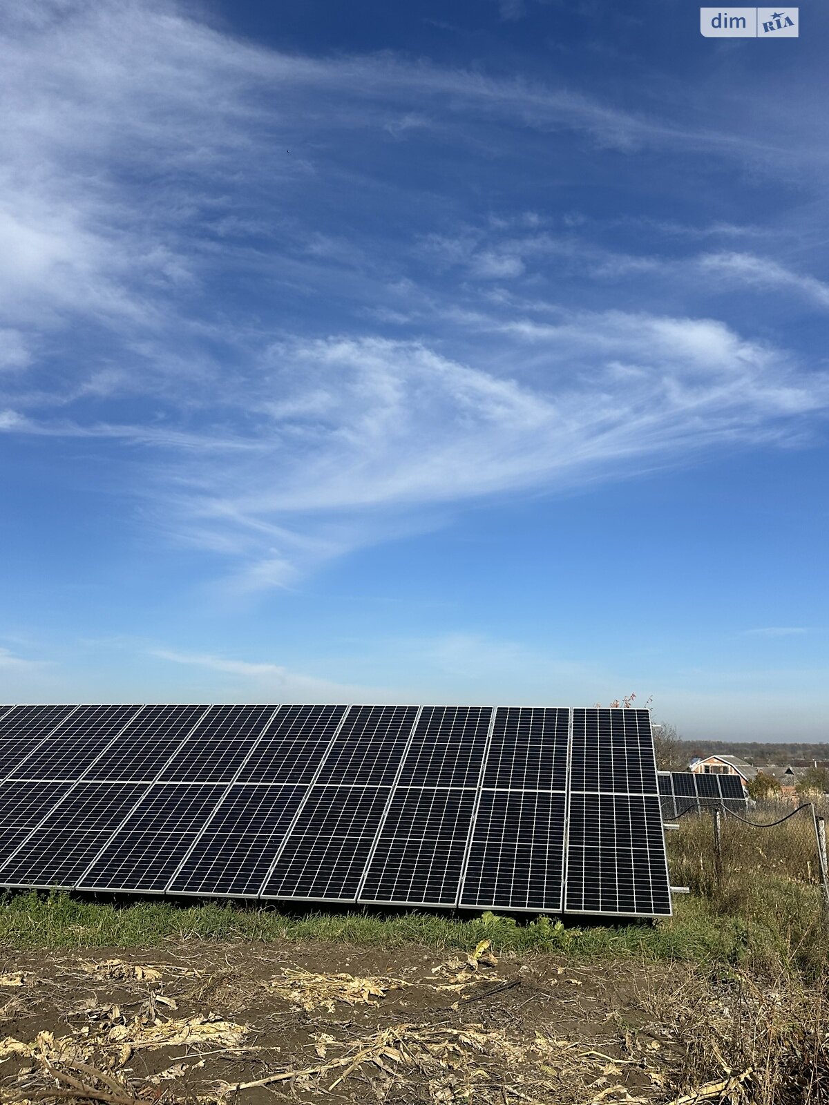 одноповерховий будинок, 100 кв. м, цегла. Продаж у Стрижавці фото 1