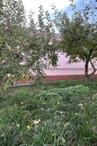 одноповерховий будинок, 100 кв. м, цегла. Продаж у Стрижавці фото 2