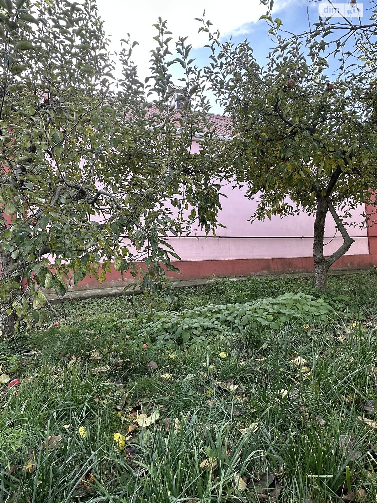 одноповерховий будинок, 100 кв. м, цегла. Продаж у Стрижавці фото 1