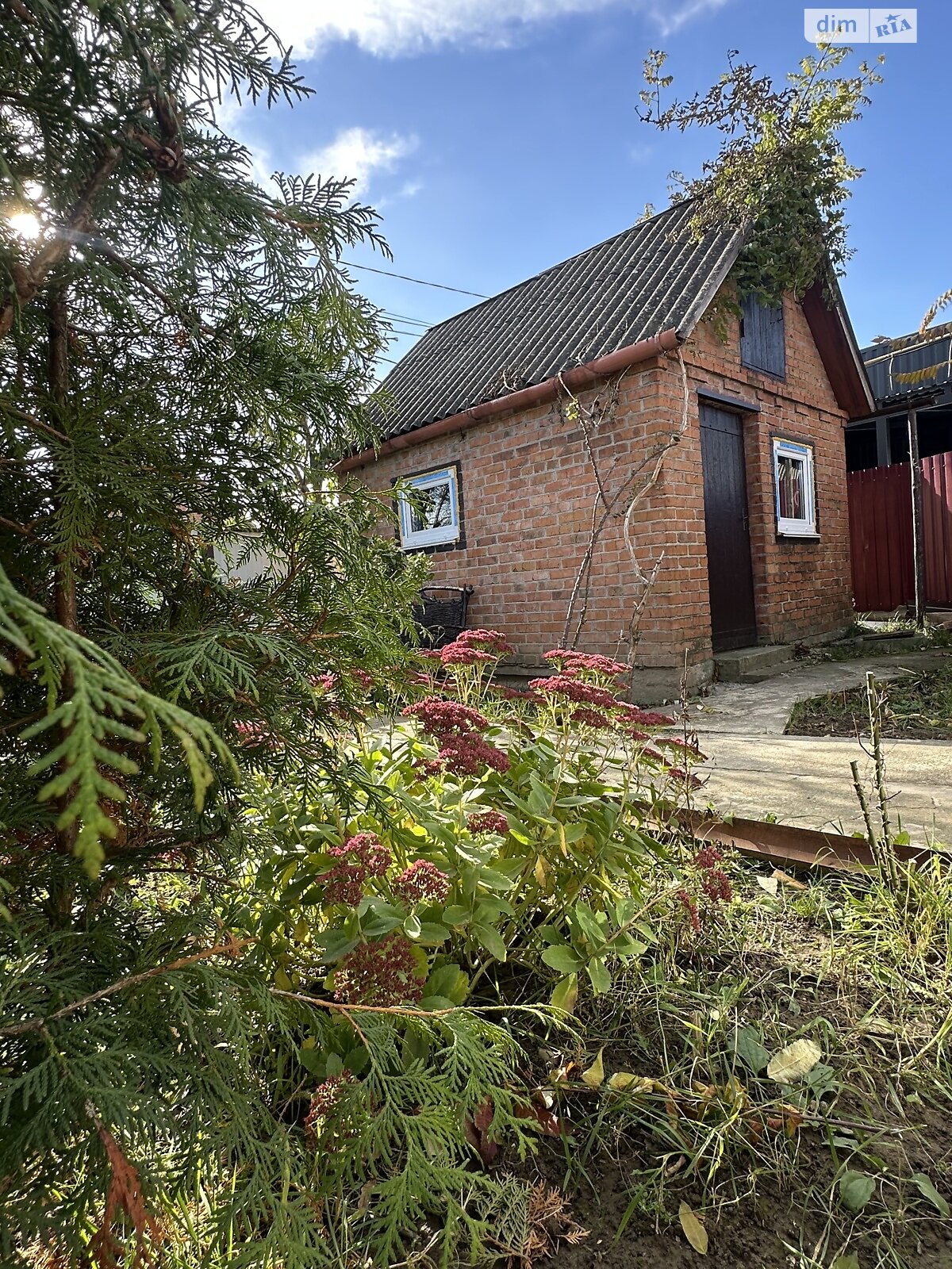 одноповерховий будинок, 100 кв. м, цегла. Продаж у Стрижавці фото 1