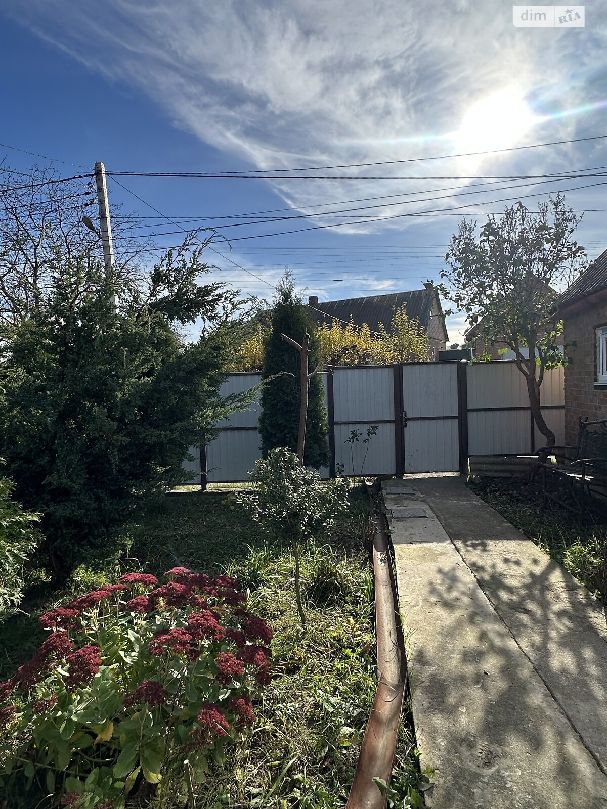 одноповерховий будинок, 100 кв. м, цегла. Продаж у Стрижавці фото 1