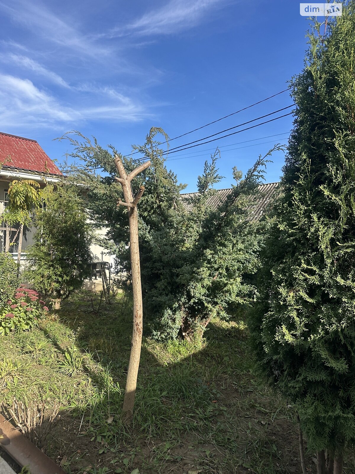 одноповерховий будинок, 100 кв. м, цегла. Продаж у Стрижавці фото 1