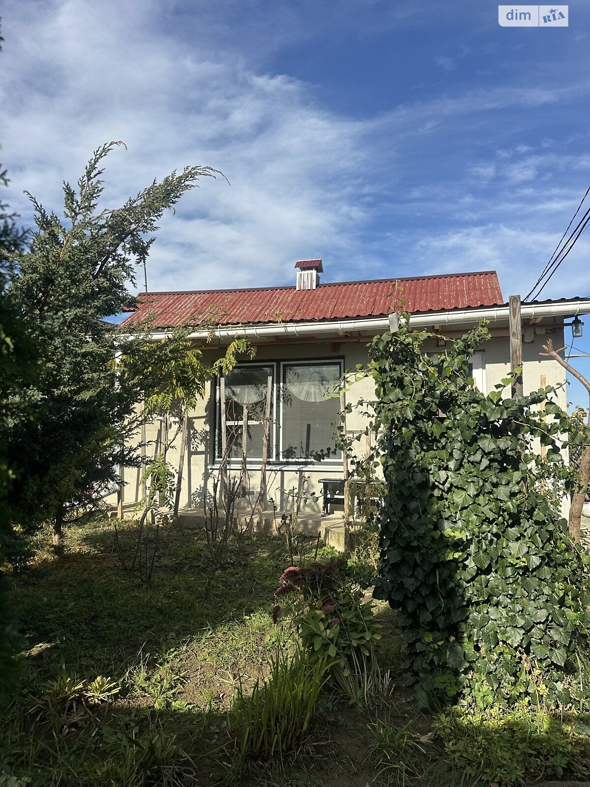 одноповерховий будинок, 100 кв. м, цегла. Продаж у Стрижавці фото 1