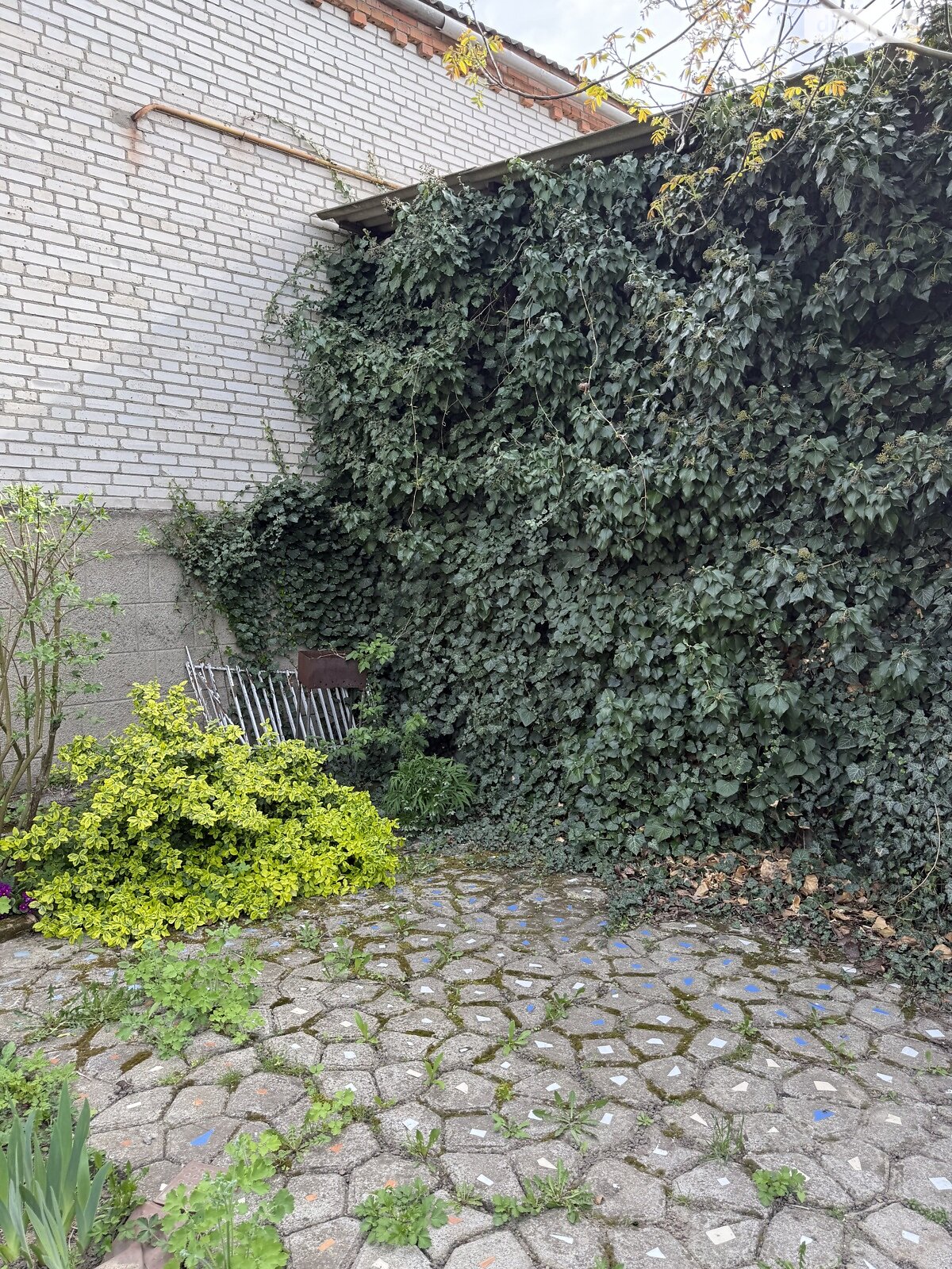 двухэтажный дом, 289 кв. м, кирпич. Продажа в Стрижавке фото 1 двухэтажный дом, 289 кв. м, кирпич. Продажа в Стрижавке фото 1