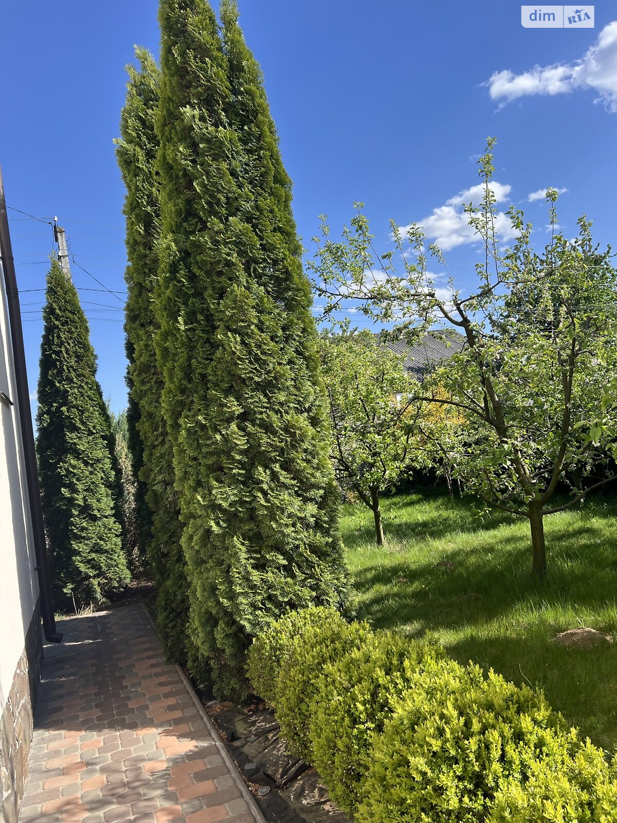 двоповерховий будинок бесідка, 150 кв. м, цегла. Продаж у Стрижавці фото 1 двоповерховий будинок бесідка, 150 кв. м, цегла. Продаж у Стрижавці фото 1