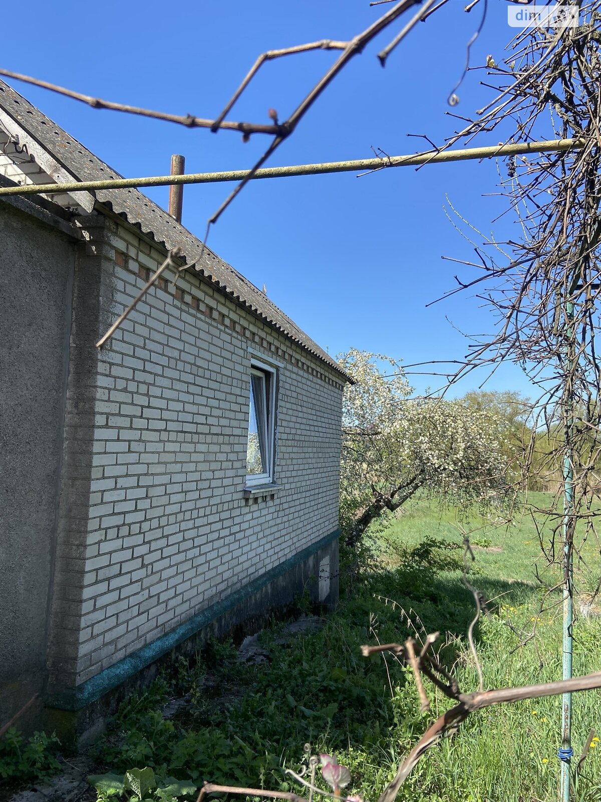 одноповерховий будинок, 359.8 кв. м, цегла. Продаж у Стрижавці фото 1 одноповерховий будинок, 359.8 кв. м, цегла. Продаж у Стрижавці фото 1