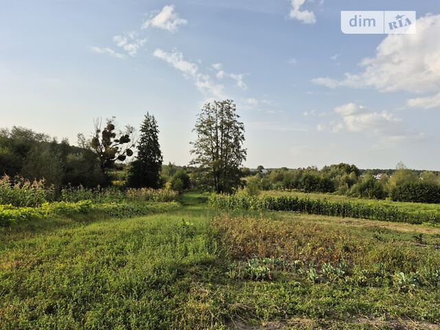 Дом по адресу ул. Шевченко тупик (площадь 120 м²) - Atlanta.ua - фото 57