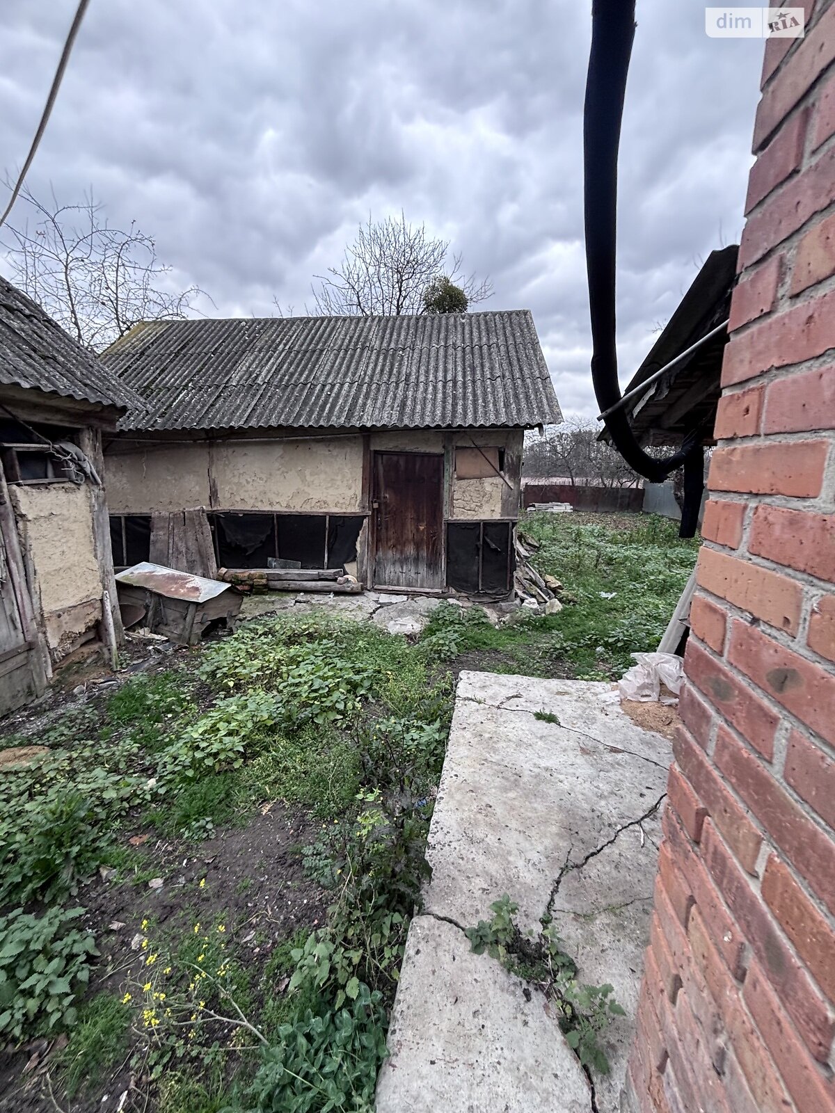 одноповерховий будинок, 75 кв. м, кирпич. Продаж у Стрижавці фото 1