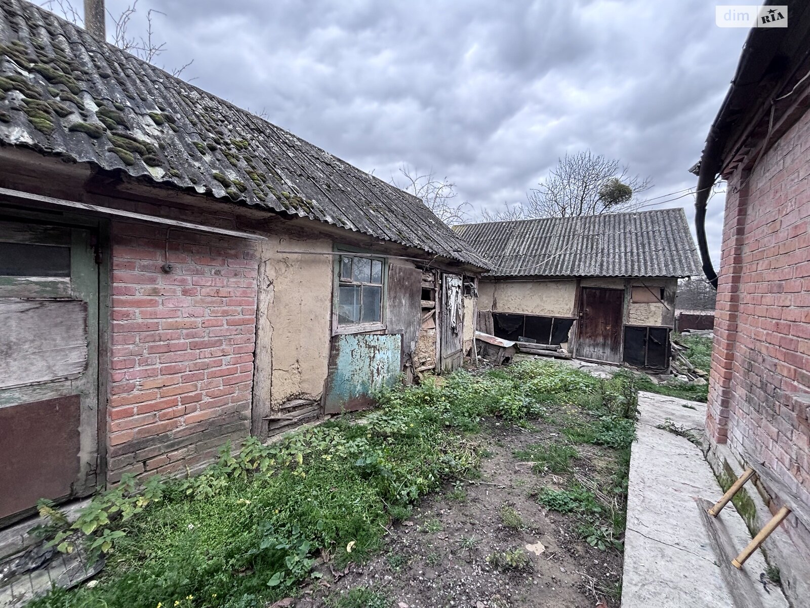 одноповерховий будинок, 75 кв. м, кирпич. Продаж у Стрижавці фото 1