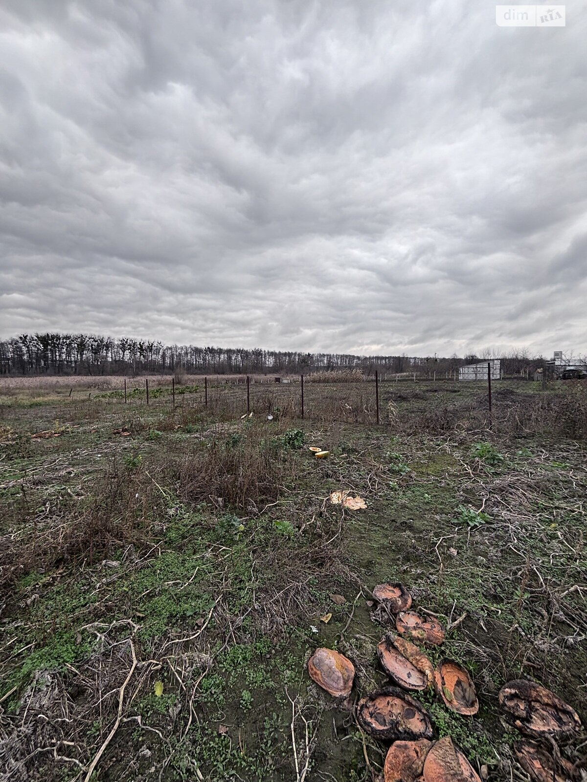 одноповерховий будинок, 75 кв. м, кирпич. Продаж у Стрижавці фото 1