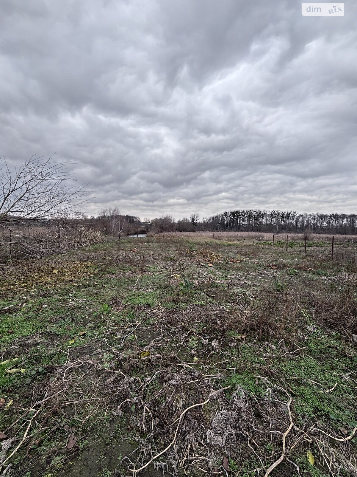 одноповерховий будинок, 75 кв. м, кирпич. Продаж у Стрижавці фото 1