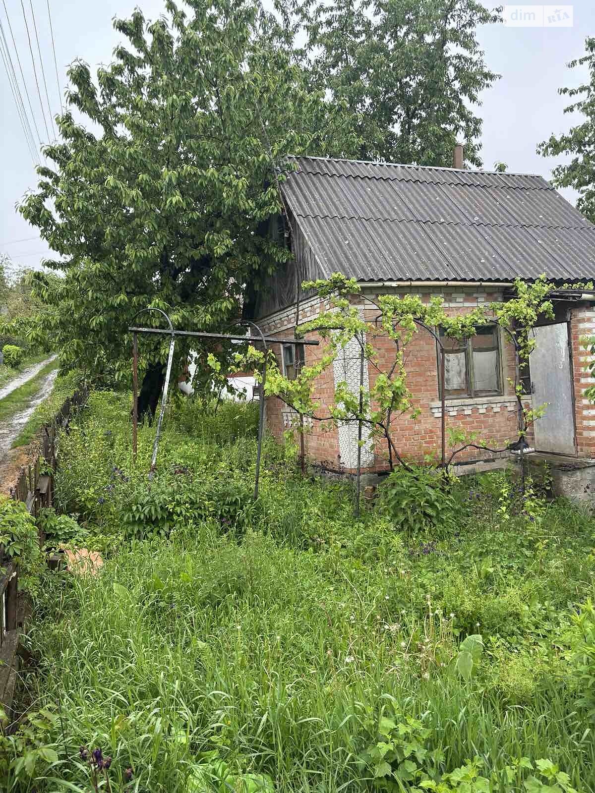 одноповерховий будинок, 30 кв. м, цегла. Продаж у Стрижавці фото 1 одноповерховий будинок, 30 кв. м, цегла. Продаж у Стрижавці фото 1