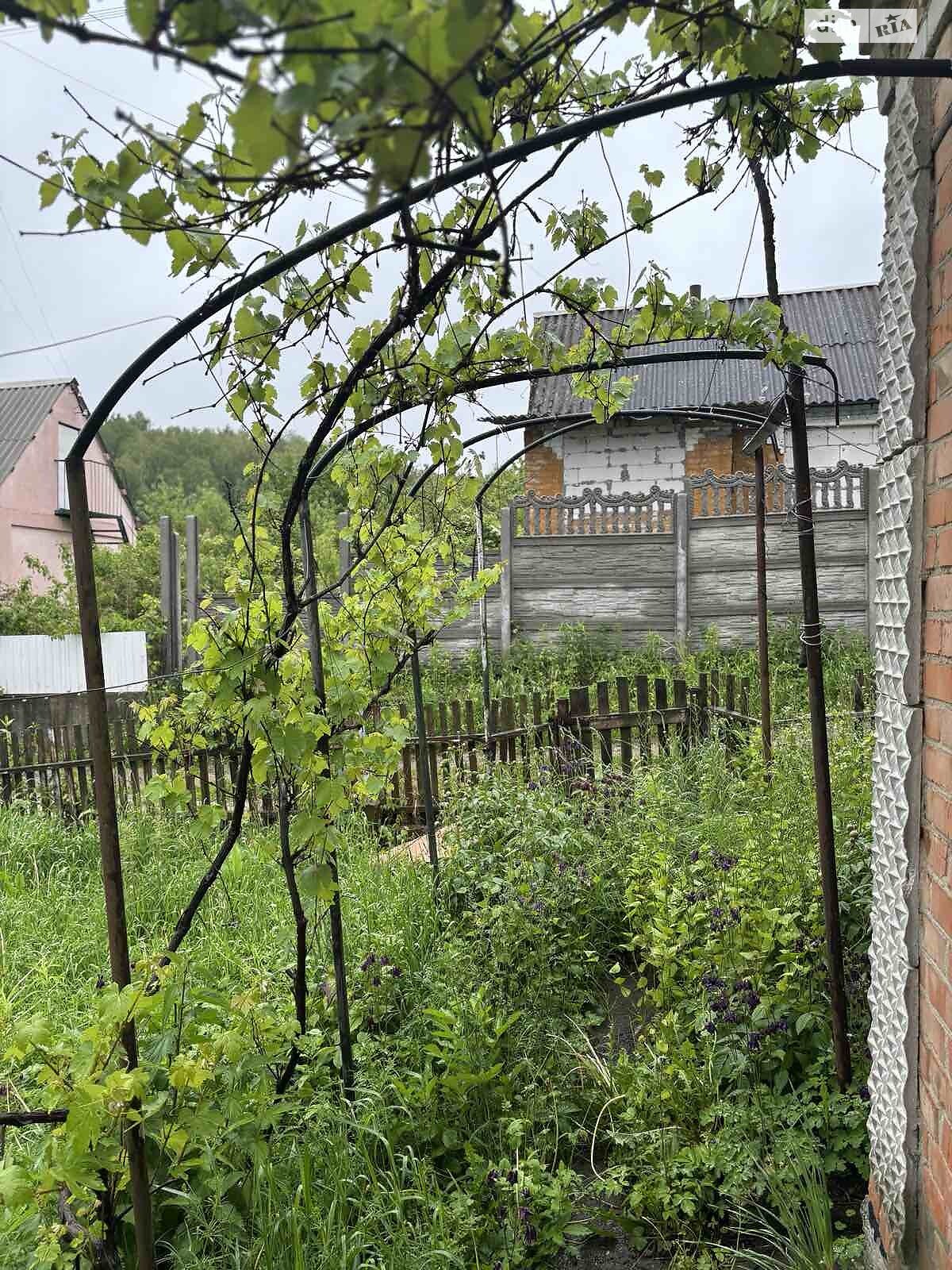 одноповерховий будинок, 30 кв. м, цегла. Продаж у Стрижавці фото 1 одноповерховий будинок, 30 кв. м, цегла. Продаж у Стрижавці фото 1