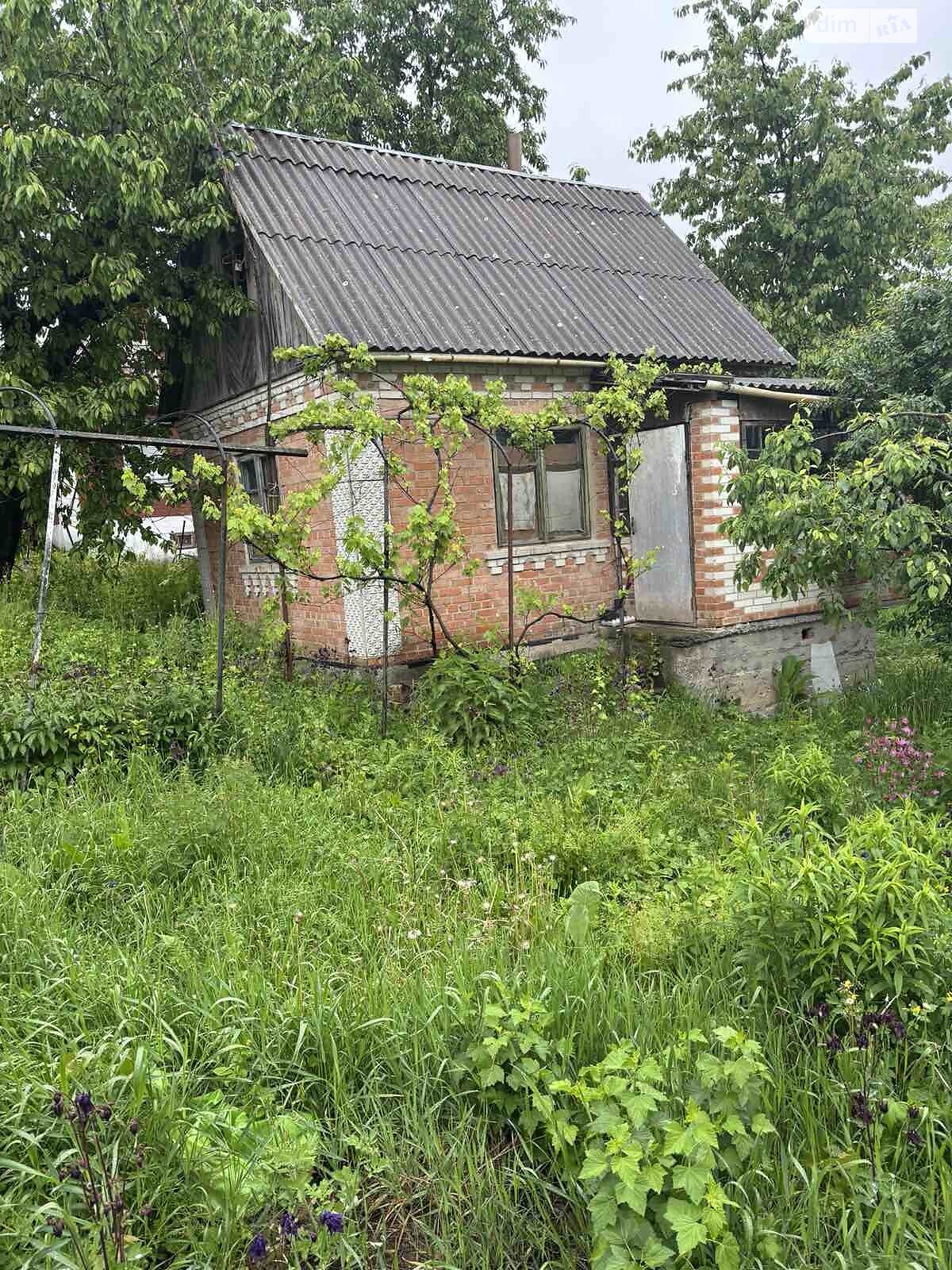 одноповерховий будинок, 30 кв. м, цегла. Продаж у Стрижавці фото 1 одноповерховий будинок, 30 кв. м, цегла. Продаж у Стрижавці фото 1
