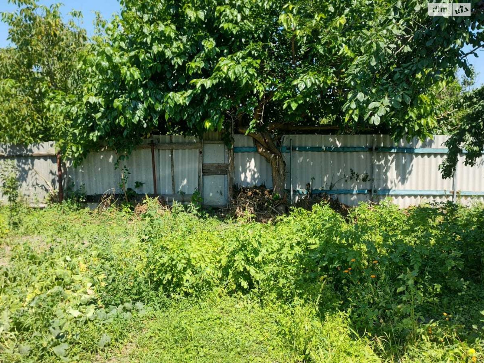 одноповерховий будинок з верандою, 62 кв. м, дерево та цегла. Продаж у Строкові фото 1 одноповерховий будинок з верандою, 62 кв. м, дерево та цегла. Продаж у Строкові фото 1