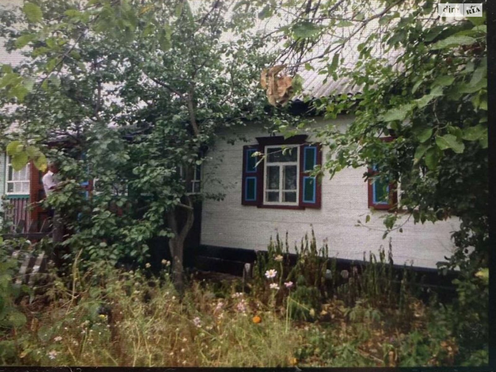 одноповерховий будинок з опаленням, 86 кв. м, брус. Продаж у Студениці фото 1 одноповерховий будинок з опаленням, 86 кв. м, брус. Продаж у Студениці фото 1