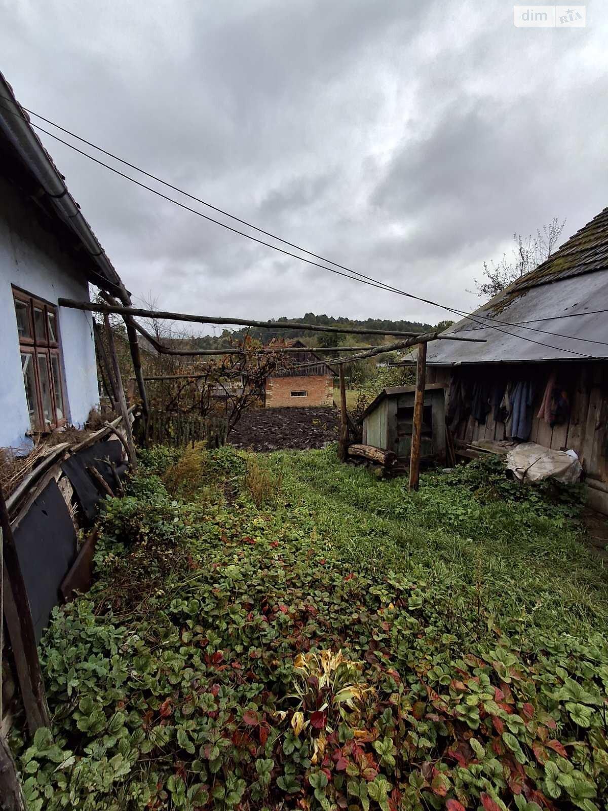 одноповерховий будинок, 50 кв. м, цегла. Продаж у Суходолі фото 1