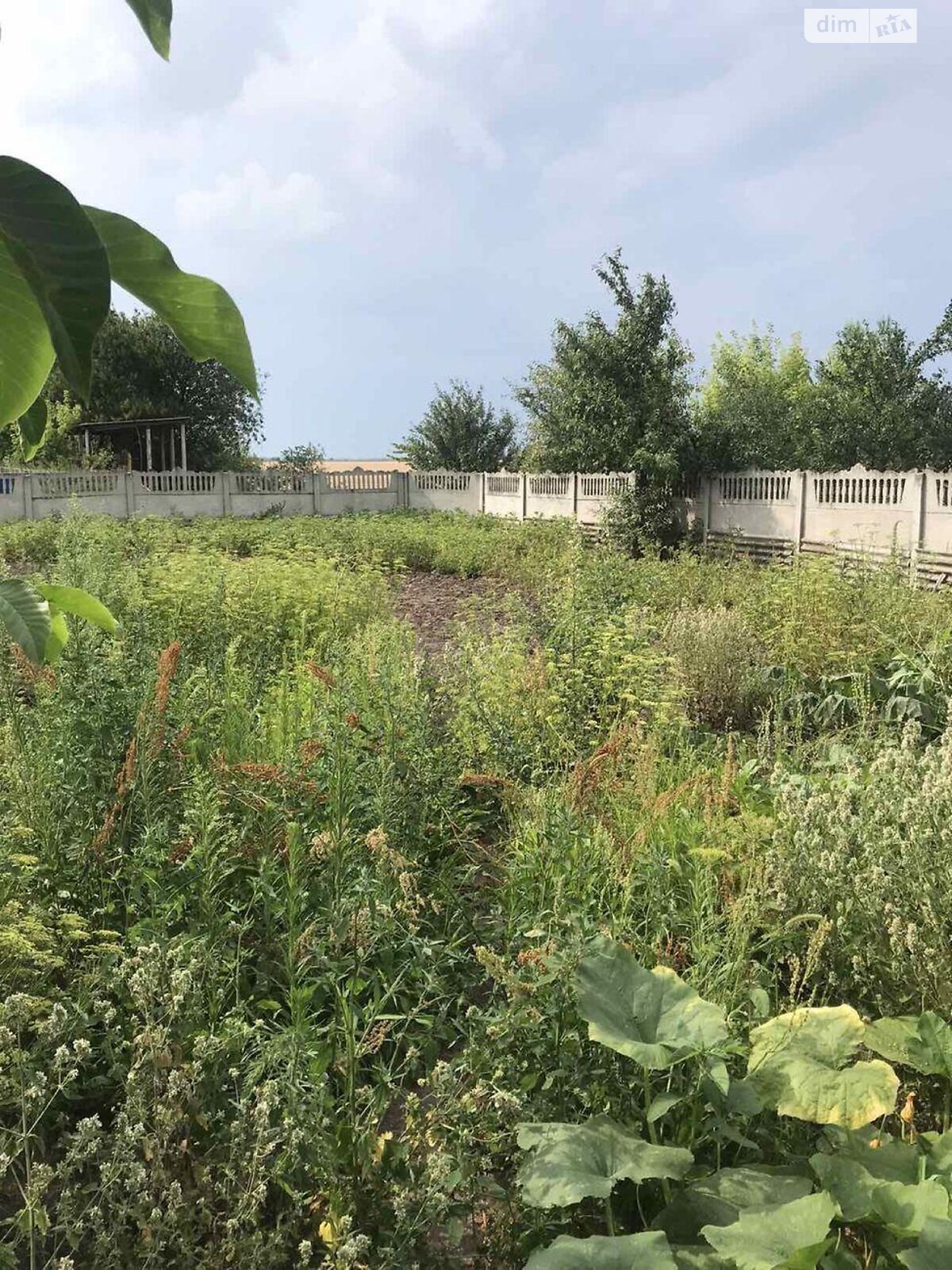 одноэтажный дом, 80 кв. м, кирпич. Продажа в Сухолесах фото 1 одноэтажный дом, 80 кв. м, кирпич. Продажа в Сухолесах фото 1