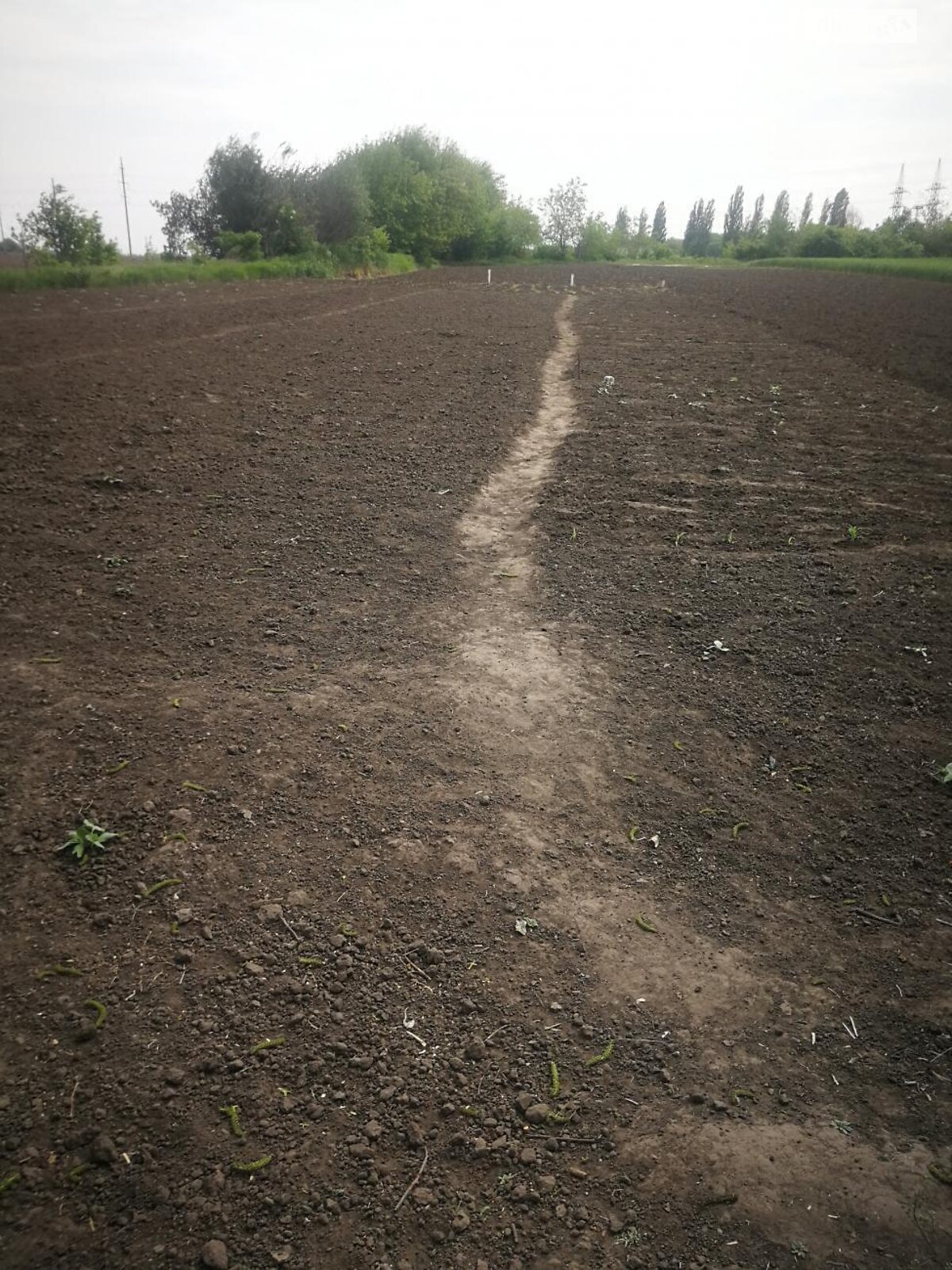 одноэтажный дом, 80 кв. м, кирпич. Продажа в Сухолесах фото 1 одноэтажный дом, 80 кв. м, кирпич. Продажа в Сухолесах фото 1