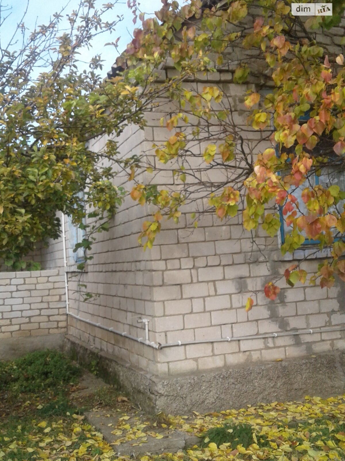 одноэтажный дом, 75 кв. м, кирпич. Продажа в Сухом Еланце фото 1 одноэтажный дом, 75 кв. м, кирпич. Продажа в Сухом Еланце фото 1