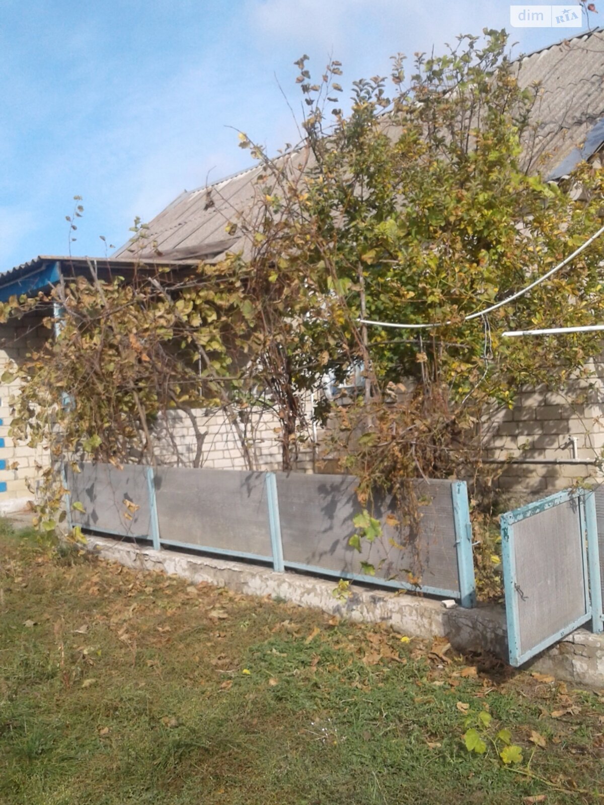 одноэтажный дом, 75 кв. м, кирпич. Продажа в Сухом Еланце фото 1 одноэтажный дом, 75 кв. м, кирпич. Продажа в Сухом Еланце фото 1