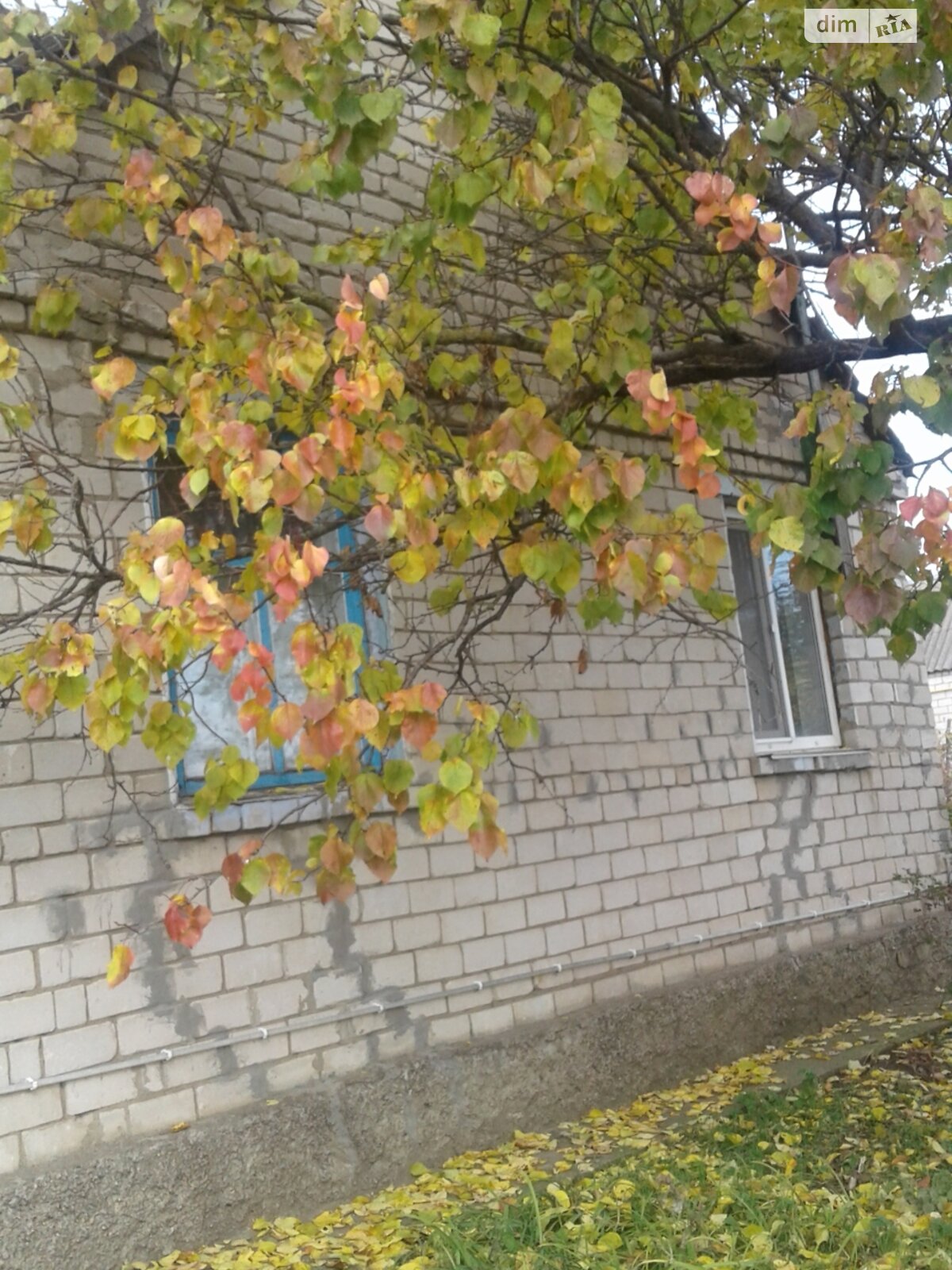 одноэтажный дом, 75 кв. м, кирпич. Продажа в Сухом Еланце фото 1 одноэтажный дом, 75 кв. м, кирпич. Продажа в Сухом Еланце фото 1