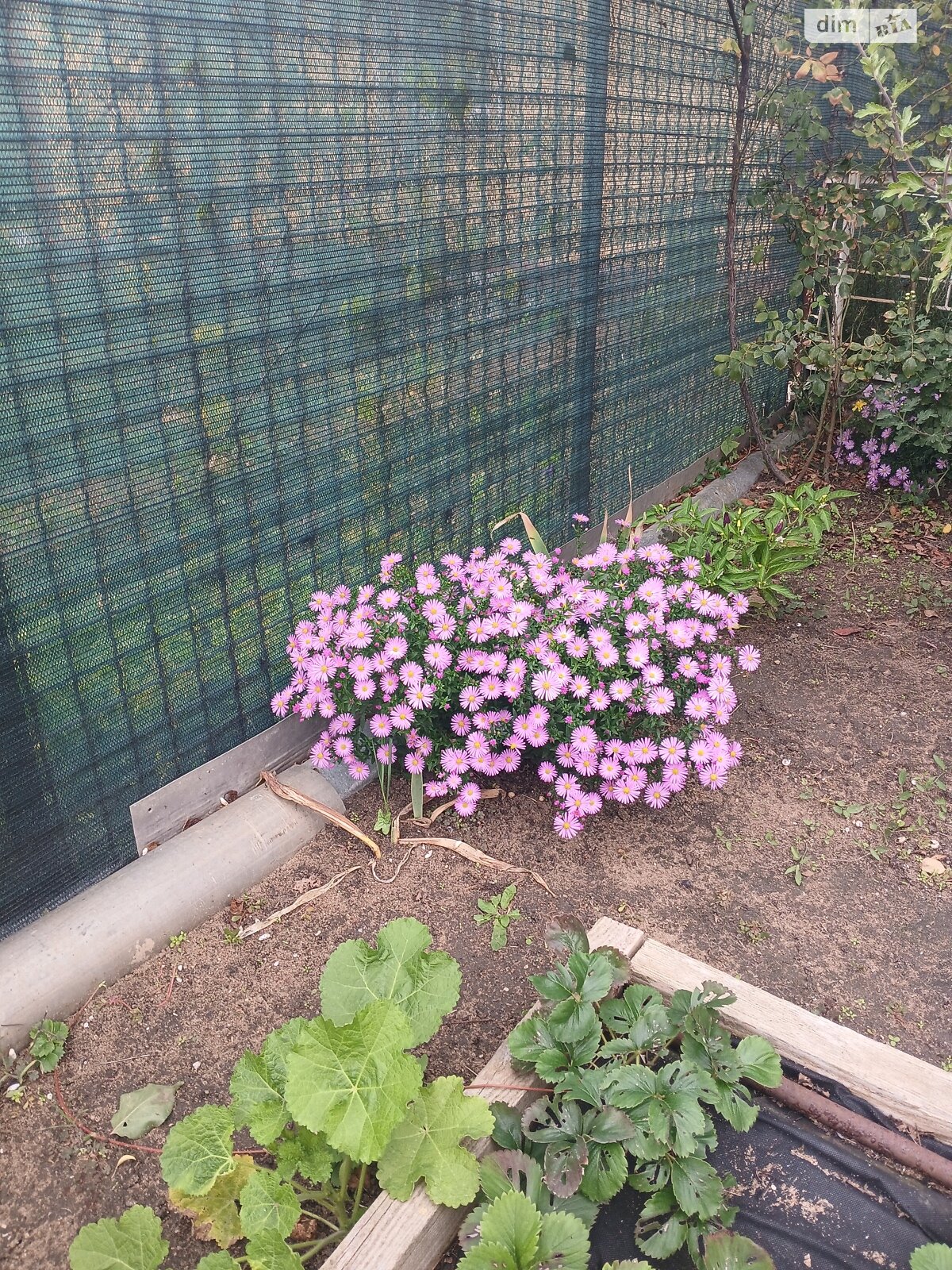 одноэтажный дом, 75 кв. м, кирпич. Продажа в Сухом Еланце фото 1 одноэтажный дом, 75 кв. м, кирпич. Продажа в Сухом Еланце фото 1