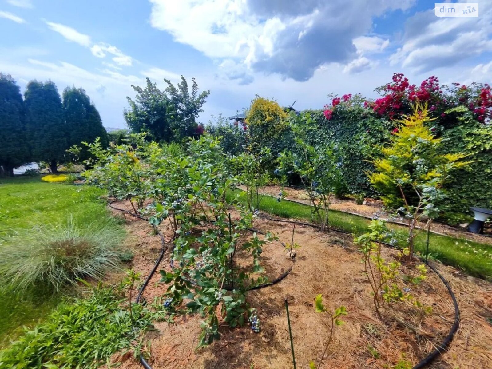 двухэтажный дом беседка, 86 кв. м, СИП. Продажа в Сухом Лимане фото 1