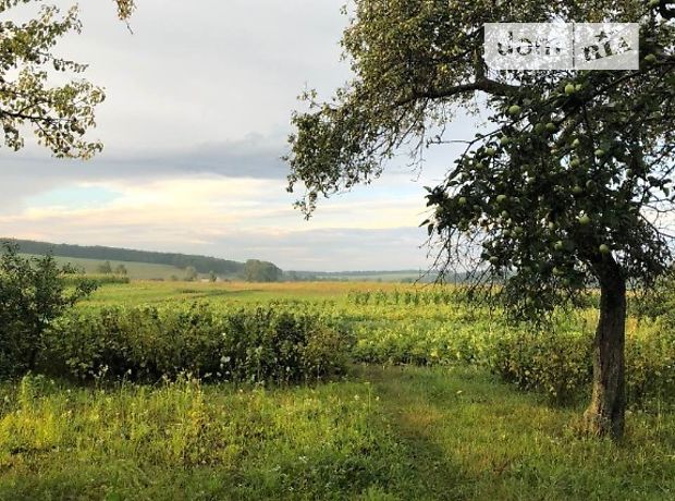 одноэтажный дом с верандой, 70 кв. м, кирпич. Продажа в Битице (Сумская обл.) фото 1 одноэтажный дом с верандой, 70 кв. м, кирпич. Продажа в Битице (Сумская обл.) фото 1