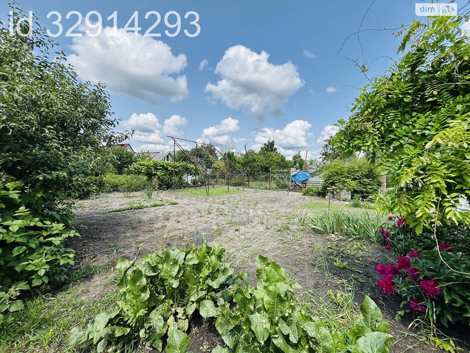 одноэтажный дом с гаражом, 85 кв. м, кирпич. Продажа в Сумах фото 1 одноэтажный дом с гаражом, 85 кв. м, кирпич. Продажа в Сумах фото 1