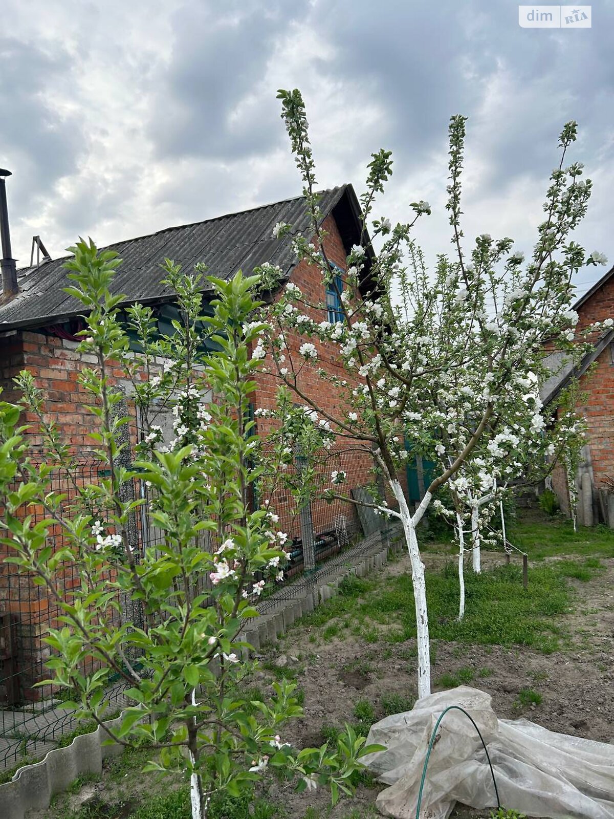 одноэтажный дом с отоплением, 97.9 кв. м, кирпич. Продажа в Сумах район Ковпаковский фото 1 одноэтажный дом с отоплением, 97.9 кв. м, кирпич. Продажа в Сумах район Ковпаковский фото 1