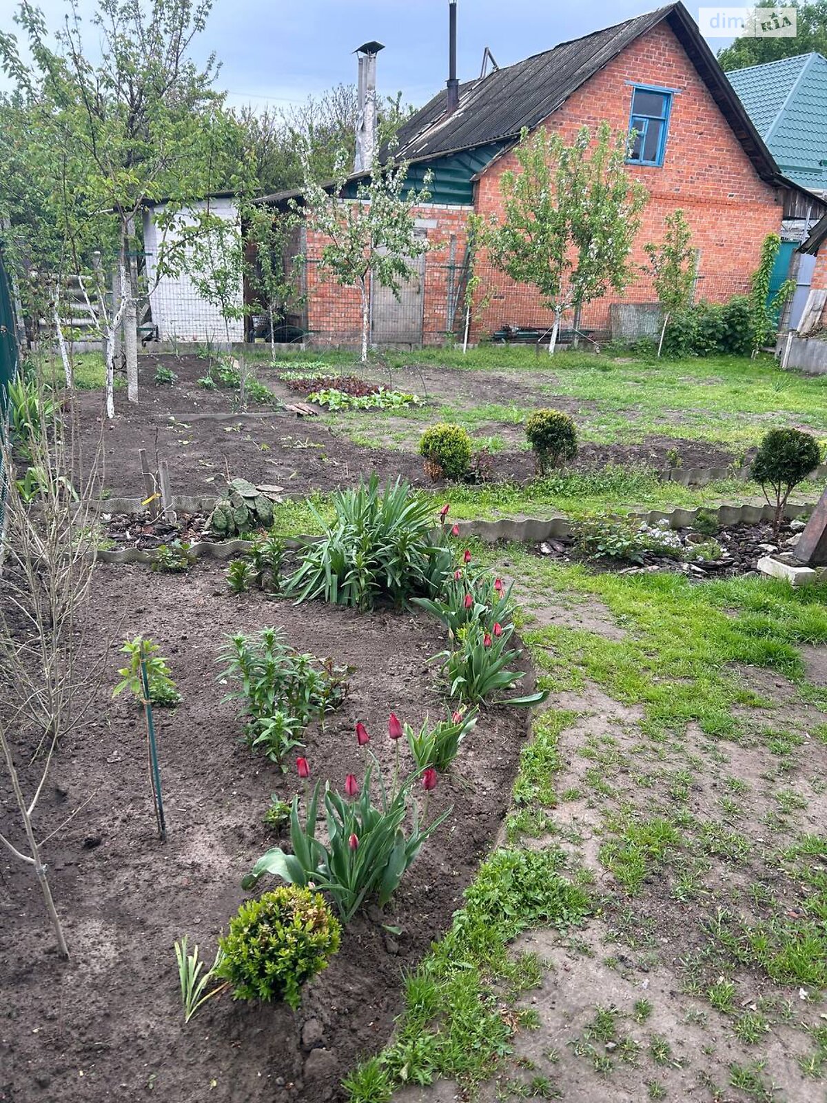 одноэтажный дом с отоплением, 97.9 кв. м, кирпич. Продажа в Сумах район Ковпаковский фото 1 одноэтажный дом с отоплением, 97.9 кв. м, кирпич. Продажа в Сумах район Ковпаковский фото 1