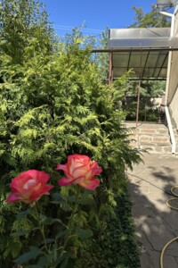 двухэтажный дом с отоплением, 140 кв. м, кирпич. Продажа в Сумах район Ковпаковский фото 2 двухэтажный дом с отоплением, 140 кв. м, кирпич. Продажа в Сумах район Ковпаковский фото 2