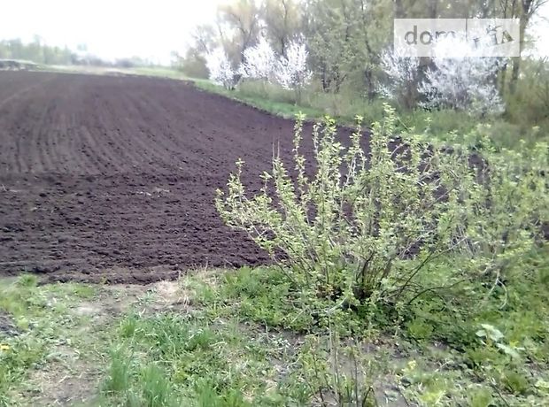 одноэтажный дом с садом, 36 кв. м, дерево и кирпич. Продажа в Степановке (Сумская обл.) фото 1 одноэтажный дом с садом, 36 кв. м, дерево и кирпич. Продажа в Степановке (Сумская обл.) фото 1