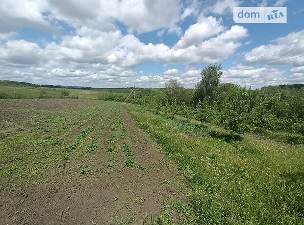 одноповерховий будинок з каміном, 138 кв. м, цегла. Продаж у Сулі фото 1 одноповерховий будинок з каміном, 138 кв. м, цегла. Продаж у Сулі фото 1